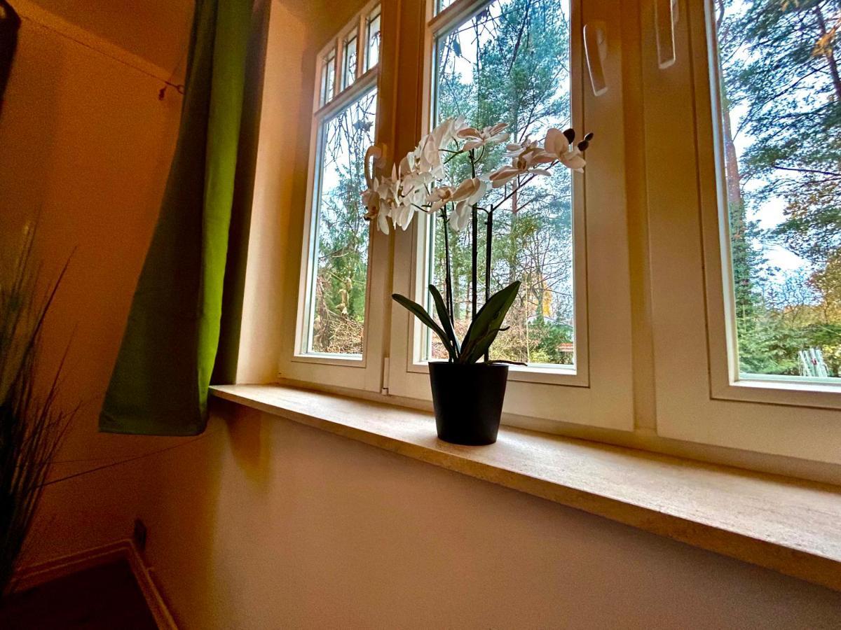 Ferienhaus Im Gruenen Mit Kamin 奥拉宁堡 外观 照片